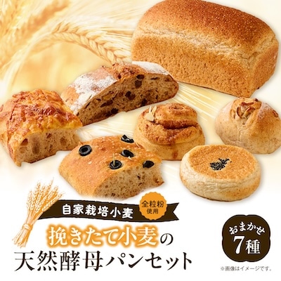 自家栽培・挽きたて小麦の天然酵母パンセット