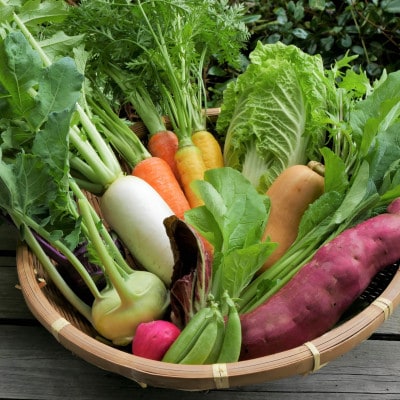 【発送月固定定期便】【6～12月】但馬の旬をお届け!採れたて野菜セット全7回