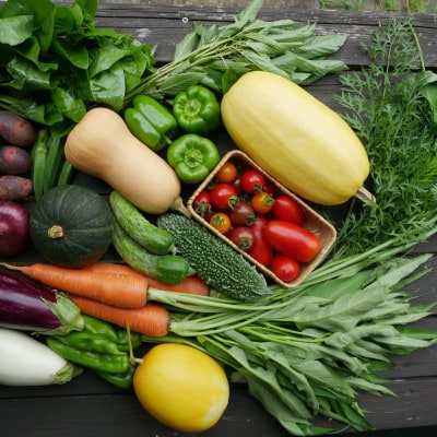 【発送月固定定期便】【6～12月】但馬の旬をお届け!採れたて野菜セット全7回