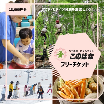 【宿泊や体験などに使える】このはなフリーチケット18,000円分