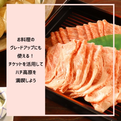 【宿泊や体験などに使える】このはなフリーチケット36,000円分