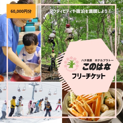 【宿泊や体験などに使える】このはなフリーチケット60,000円分