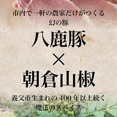 八鹿豚味わう養父餃子(要冷凍/12個入り)×2パック
