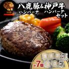 八鹿豚ハンバーグ&神戸牛ハンバーグセット