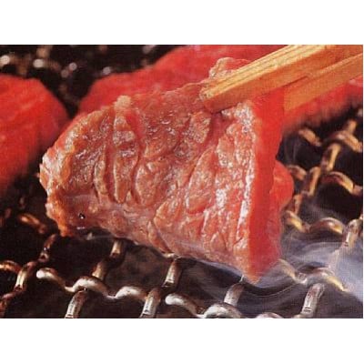 神戸牛ももかた焼き肉500g
