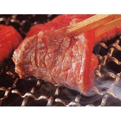 神戸牛ももかた焼き肉500g