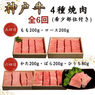 【毎月定期便】神戸牛王道焼肉定期便全6回