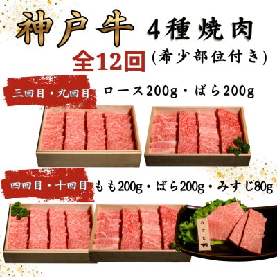 【毎月定期便】神戸牛王道焼肉定期便全12回