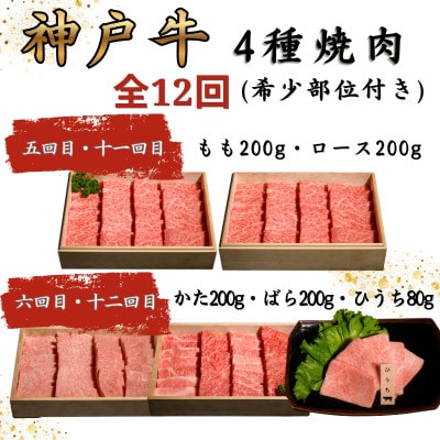 【毎月定期便】神戸牛王道焼肉定期便全12回
