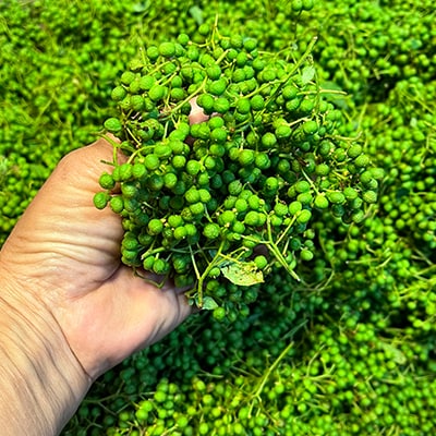【さとふる限定】冷凍朝倉山椒500g養父市産