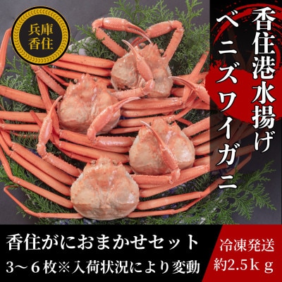 香住がに　おまかせセット　約2.5kg(3～6枚)
