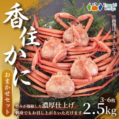 香住がに　おまかせセット　約2.5kg(3～6枚)