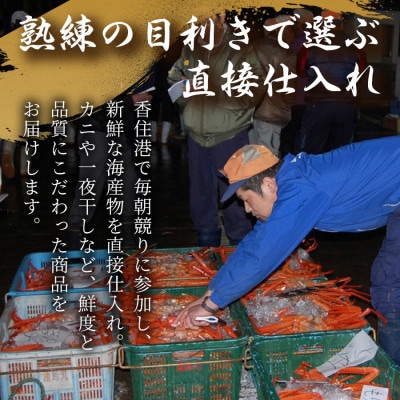 香住がに　おまかせセット　約2.5kg(3～6枚)