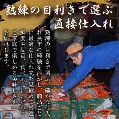 かにすきセット　4人前　約1,800g　6肩
