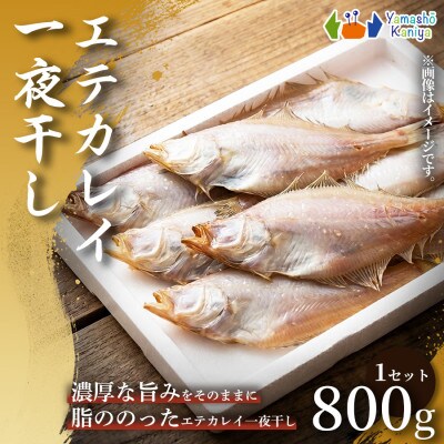 【旨み引き立つ】一夜干し　エテカレイ 　約800g 1セット