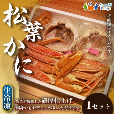 【冬の味覚を堪能】松葉ガニ カット済み 地蟹セット 生冷凍 1セット