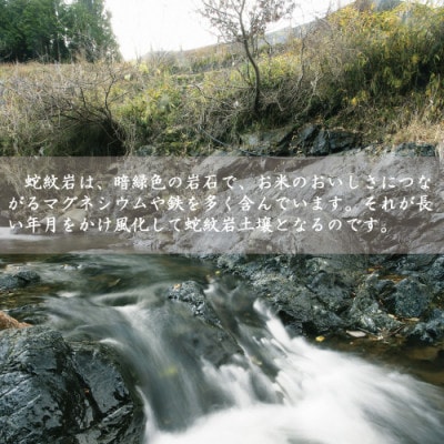 7年産新米予約 特別栽培米 兵庫県但馬産コシヒカリ 蛇紋岩米 20kg(5kg×4袋)
