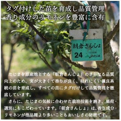 冷凍 朝倉さんしょ 200g 実山椒 軸取り あく抜き済み クール冷凍便 兵庫県産 直送