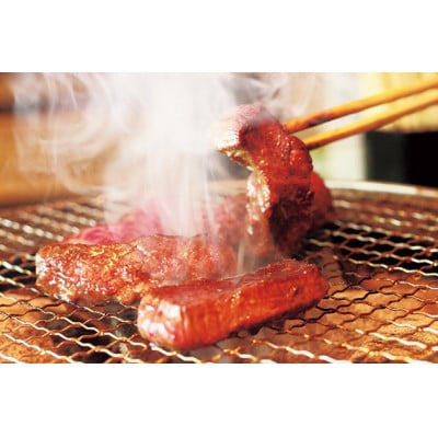 但馬牛　焼肉用(モモ・肩部位)500g