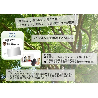 割れない鏡　エコミラー　やっぷ～