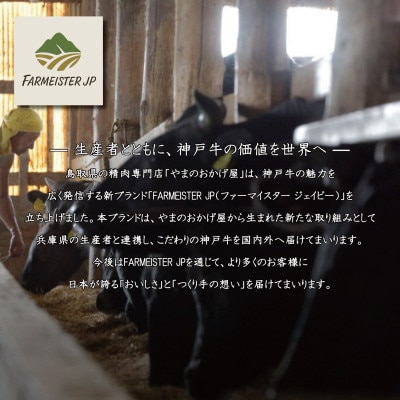 神戸牛ブリスケスライス500g【うすなが牧場】FU002