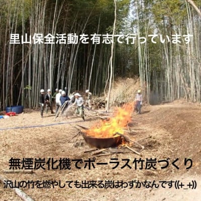 園芸用に ポーラス竹炭20リットル やわらかな多孔質の炭 竹炭の力