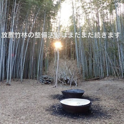 園芸用に ポーラス竹炭20リットル やわらかな多孔質の炭 竹炭の力