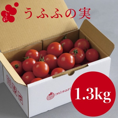 【産地直送】トマト(約1.3kg) 箱 うふふの実 高糖度フルーツトマト　アイメック【常温】