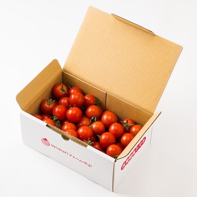 【産地直送】トマト(約1.3kg) 箱 うふふの実 高糖度フルーツトマト　アイメック【常温】