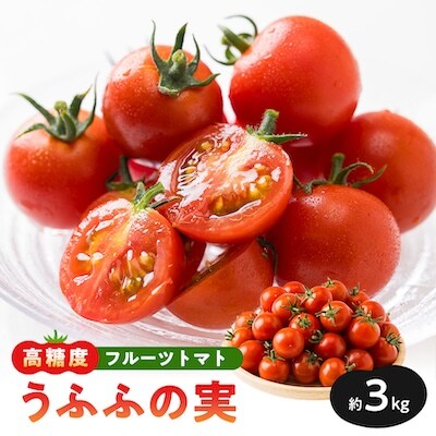 【産地直送】トマト(約3.0kg) 箱 うふふの実 高糖度フルーツトマト　アイメック【常温】