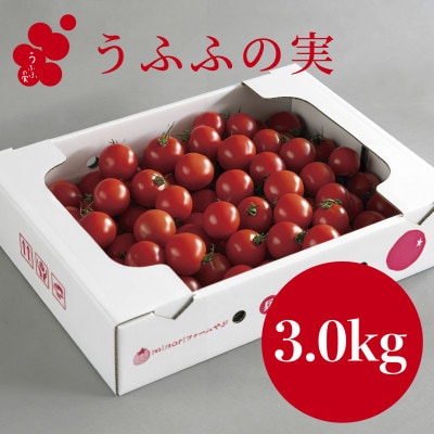 【産地直送】トマト(約3.0kg) 箱 うふふの実 高糖度フルーツトマト　アイメック【常温】