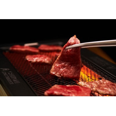 神戸牛焼肉4種盛 360g【FSN02山晃食品】