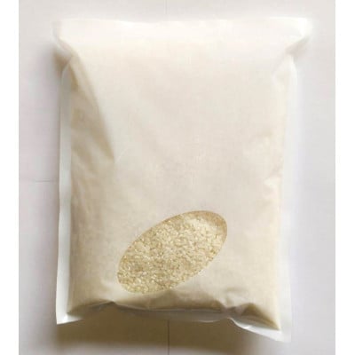 お試し!令和7年産【蛇紋岩銀粒　彩りの舞】精米 計600g(2合×2袋)