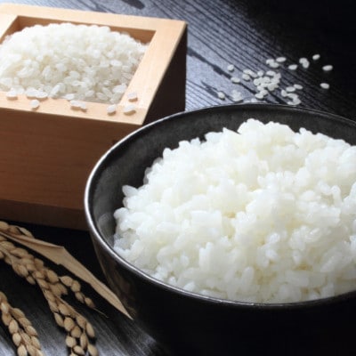 お試し!令和7年産【蛇紋岩ブランド　華やか一膳】精米 300g(2合×1袋)