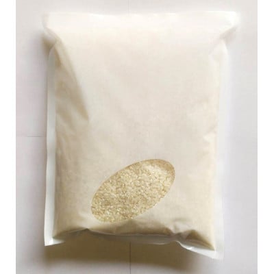 お試し!令和7年産【蛇紋岩ブランド　華やか一膳】精米 計600g(2合×2袋)