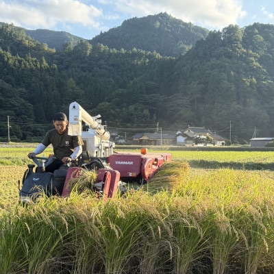 お試し!令和7年産【蛇紋岩ブランド　華やか一膳】精米 計600g(2合×2袋)