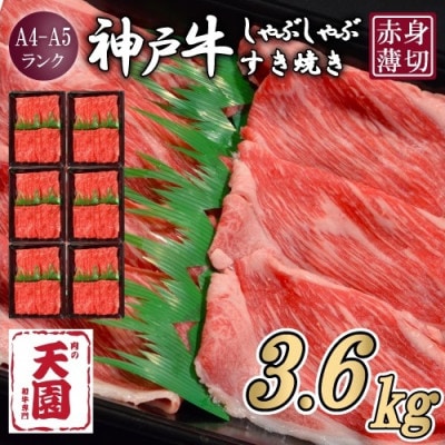 【毎月定期便】【ふるさと納税】神戸牛 赤身 モモ しゃぶしゃぶすき焼き600g×全6回