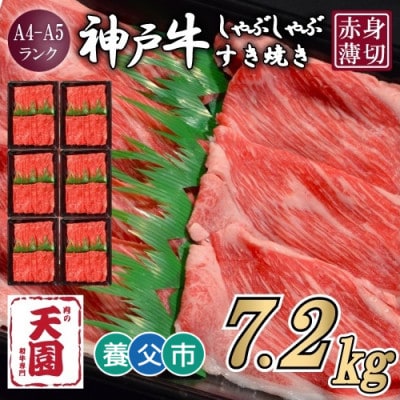 【毎月定期便】【ふるさと納税】神戸牛 赤身 モモ しゃぶしゃぶすき焼き1200g×全6回