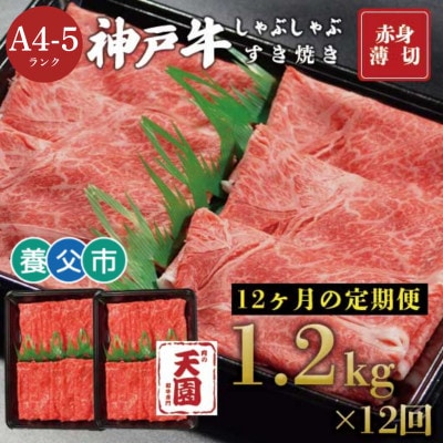 【毎月定期便】【ふるさと納税】神戸牛 赤身 モモ しゃぶしゃぶすき焼き1200g×全12回