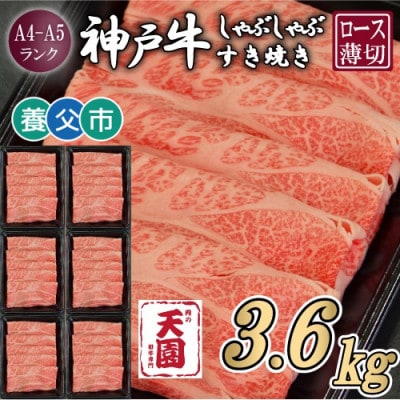 【毎月定期便】【ふるさと納税】神戸牛 霜降り 肩ロース しゃぶしゃぶすき焼き600g×全6回