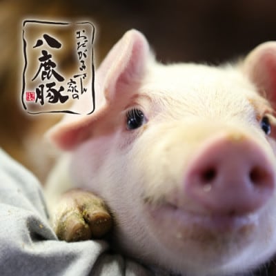 【おだがきさん家の八鹿豚】ジャンボソーセージまんぷくセット