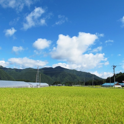 米と味噌さえあれば生きていける!南会津産ひとめぼれ5kgとあやこがね味噌1.5kgのセット