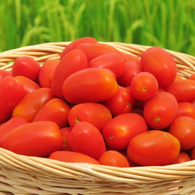 南会津産ひとめぼれ2kgとあやこがね味噌1kgと南会津産100%ミニトマトジュースのセット