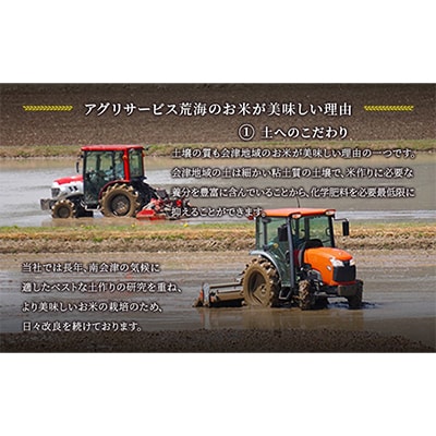 【令和7年産会津田島の極上祇園米】ひとめぼれ 5kg 精米