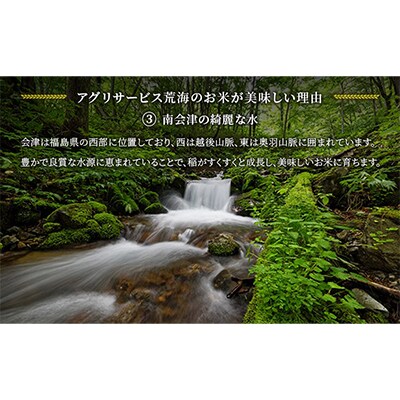 【令和7年産会津田島の極上祇園米】ひとめぼれ 10kg 精米
