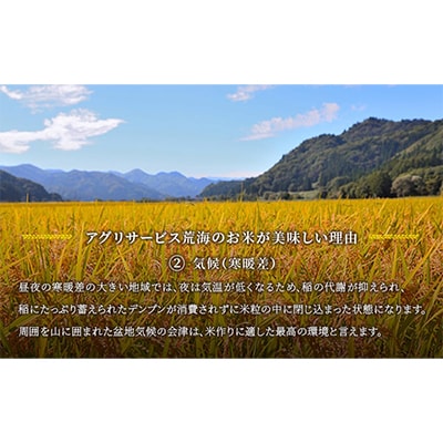 【令和7年産会津田島の極上祇園米】ひとめぼれ(玄米) 10kg