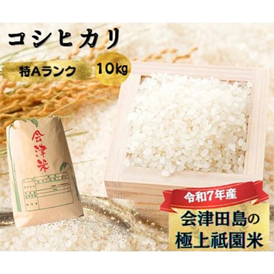【令和7年産会津田島の極上祇園米】コシヒカリ 10kg 精米