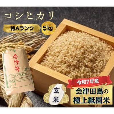 【令和7年産会津田島の極上祇園米】コシヒカリ(玄米)5kg
