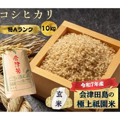 【令和7年産会津田島の極上祇園米】コシヒカリ(玄米) 10kg