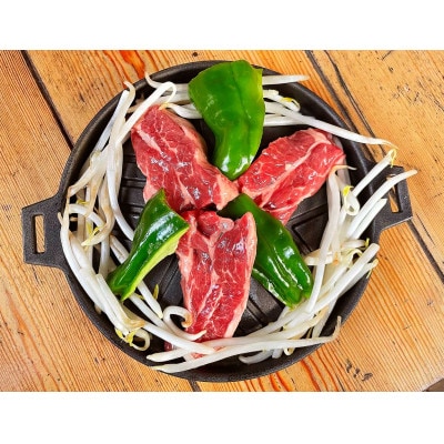 会炉鉄板 半球形プレート16 ハンドル付(1人用鍋)